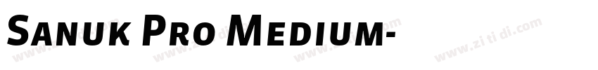 Sanuk Pro Medium字体转换 Sanuk Pro Medium字体转换